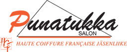 Salon Punatukka-logo